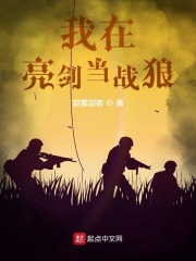 《我在亮剑当战狼》作者：寂寞剑客 - Zh-Library