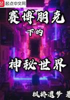 《赛博朋克下的神秘世界》作者：枫桥遗梦 - Zh-Library