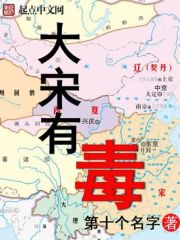 《大宋有毒》作者：第十个名字 - Zh-Library