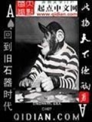 《回到旧石器时代》作者：此物天下绝响 - Zh-Library