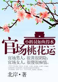 《官道之步步高升(官场桃花运)》作者：北岸 - Zh-Library