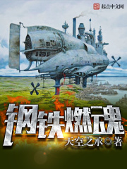 《钢铁燃魂》作者：天空之承 - Zh-Library