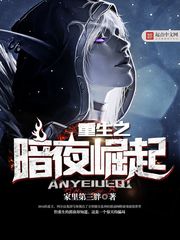 《重生之暗夜崛起》作者：家里第三胖 - Zh-Library