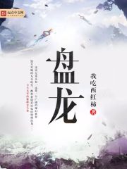 《盘龙》作者：我吃西红柿 - Zh-Library