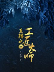 《直播之工匠大师》作者：九个栗子 - Zh-Library