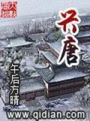 《兴唐》作者：午后方晴 - Zh-Library