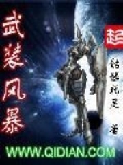 《武装风暴》作者：骷髅精灵 - Zh-Library