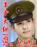 《年少天纵1931》作者：红尘紫陌 - Zh-Library