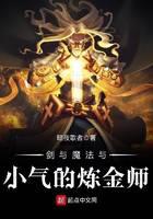 《剑与魔法与小气的炼金师》作者：暗夜歌者 - Zh-Library