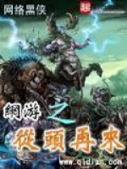 《网游之从头再来》作者：网络黑侠 - Zh-Library