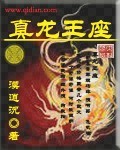 《真龙王座》作者：漠逍沉 - Zh-Library