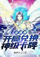 《武魂殿：开局兑换神级卡牌》作者：枫林小七 - Zh-Library