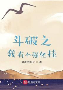 《斗破之我有个强化挂》作者：夏夜的知了 - Zh-Library