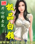 《极品白领》作者：开心的老鼠 - Zh-Library