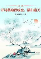 《召唤：开局奖励程咬金，横扫诸天》作者：孤城扶风 - Zh-Library