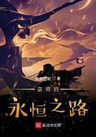 《巫师的永恒之路》作者：奈何泊者 - Zh-Library