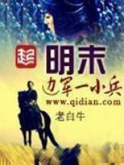 《明末边军一小兵》作者：老白牛 - Zh-Library