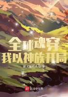 《全球魂穿：我以神族开局》作者：烤火面包人 - Zh-Library