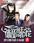 《极品护花邪王》作者：曾经拥有的方向感 - Zh-Library