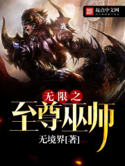 《无限之至尊巫师》作者：无境界 - Zh-Library