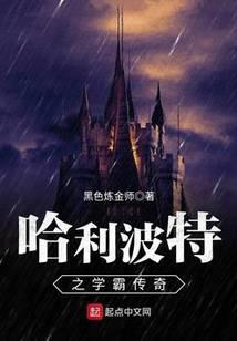 《哈利波特之学霸传奇》作者：黑色炼金师 - Zh-Library