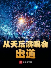 《从天后演唱会出道》作者：月下吃柠檬 - Zh-Library