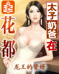 《太子奶爸在花都》作者：龙王的贤婿 - Zh-Library