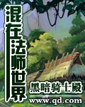 《混在法师世界》作者：黑暗骑士殿 - Zh-Library