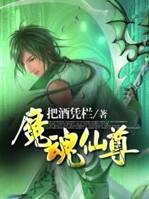 《魔魂仙尊》作者：把酒凭栏 - Zh-Library