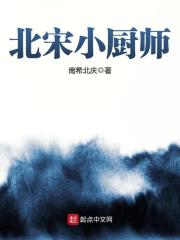 《北宋小厨师》作者：南希北庆 - Zh-Library