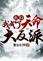 《玄幻：我成了天命大反派》作者：紫辰幻梦 - Zh-Library