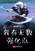 《我有无数强化点》作者：魏武狂 - Zh-Library