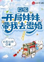 《反派：开局妹妹带我去退婚》作者：北辰仙尊 - Zh-Library