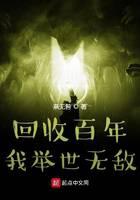 《回收百年，我举世无敌》作者：燕无咎 - Zh-Library