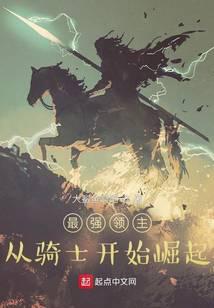 《最强领主：从骑士开始崛起》作者：大鲨鱼啊吧 - Zh-Library