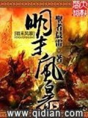 《明末风暴》作者：圣者晨雷 - Zh-Library