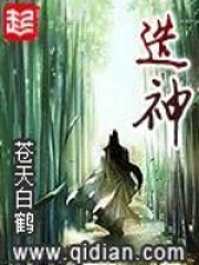 《造神》作者：苍天白鹤 - Zh-Library