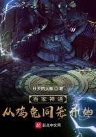 《百家神通：从鸡兔同笼开始》作者：秋天的大雁 - Zh-Library