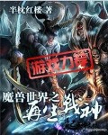 《魔兽世界之再生战神》作者：半枕红楼 - Zh-Library