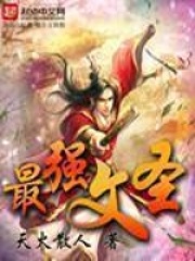 《最强文圣》作者：天火散人 - Zh-Library