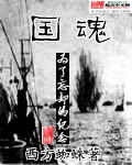 《国魂》作者：西方蜘蛛 - Zh-Library