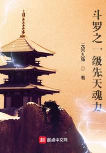 《斗罗之一级先天魂力》作者：无常九薙 - Zh-Library