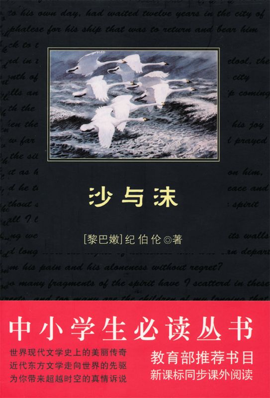 中小学生必读丛书:沙与沫 - Zh-Library