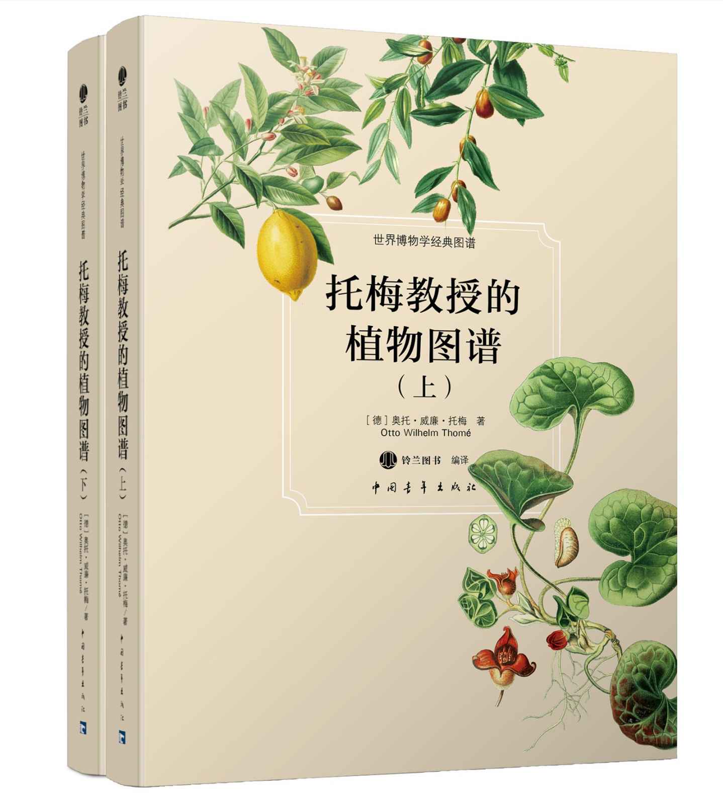 托梅教授的植物图谱（上下） (世界博物学经典图谱) - Zh-Library